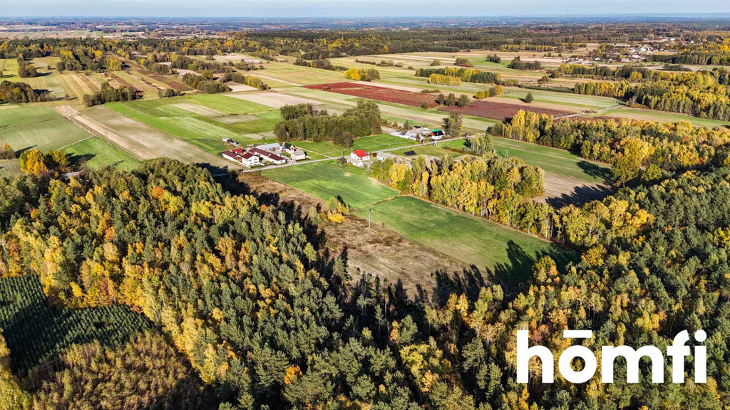 Działka budowlana 1,45 ha, Wólka Dąbrowska - zdjęcie 15