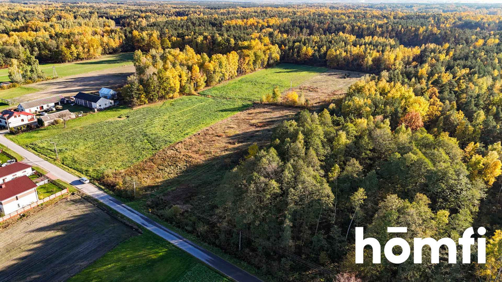 Działka budowlana 1,45 ha, Wólka Dąbrowska - zdjęcie 4