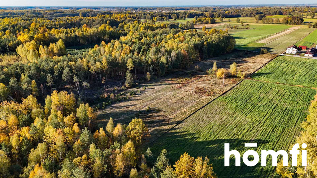 Działka budowlana 1,45 ha, Wólka Dąbrowska - zdjęcie 13