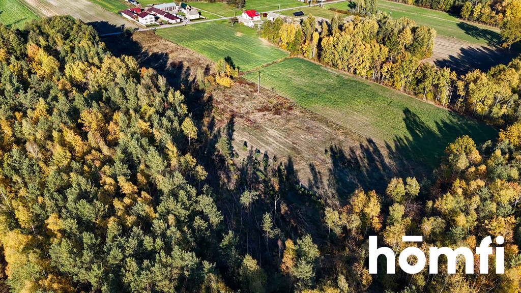 Działka budowlana 1,45 ha, Wólka Dąbrowska - zdjęcie 14