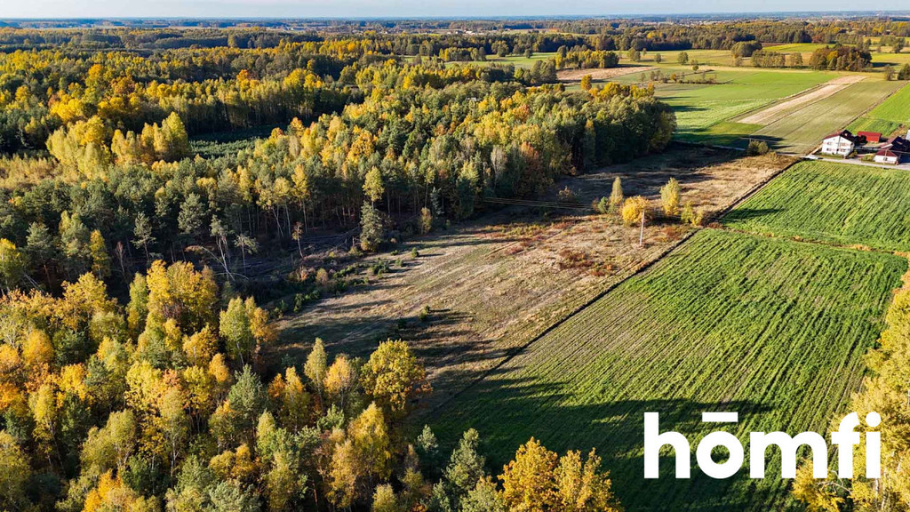 Działka budowlana 1,45 ha, Wólka Dąbrowska - zdjęcie 5