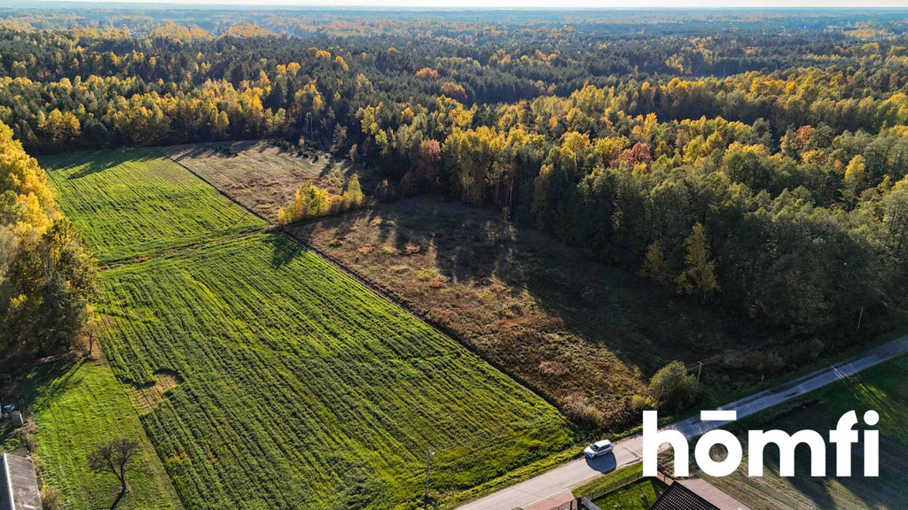 Działka budowlana 1,45 ha, Wólka Dąbrowska - zdjęcie 11