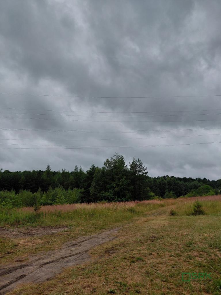 Działka inwestycyjna 1,56&nbsp;ha, Mysłowice, Aleja Spacerowa i  Zacisze - zdjęcie 4