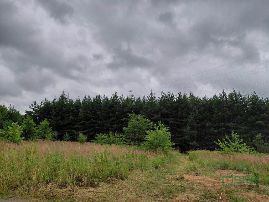 Działka inwestycyjna 1,56&nbsp;ha, Mysłowice, Aleja Spacerowa i  Zacisze - zdjęcie 1