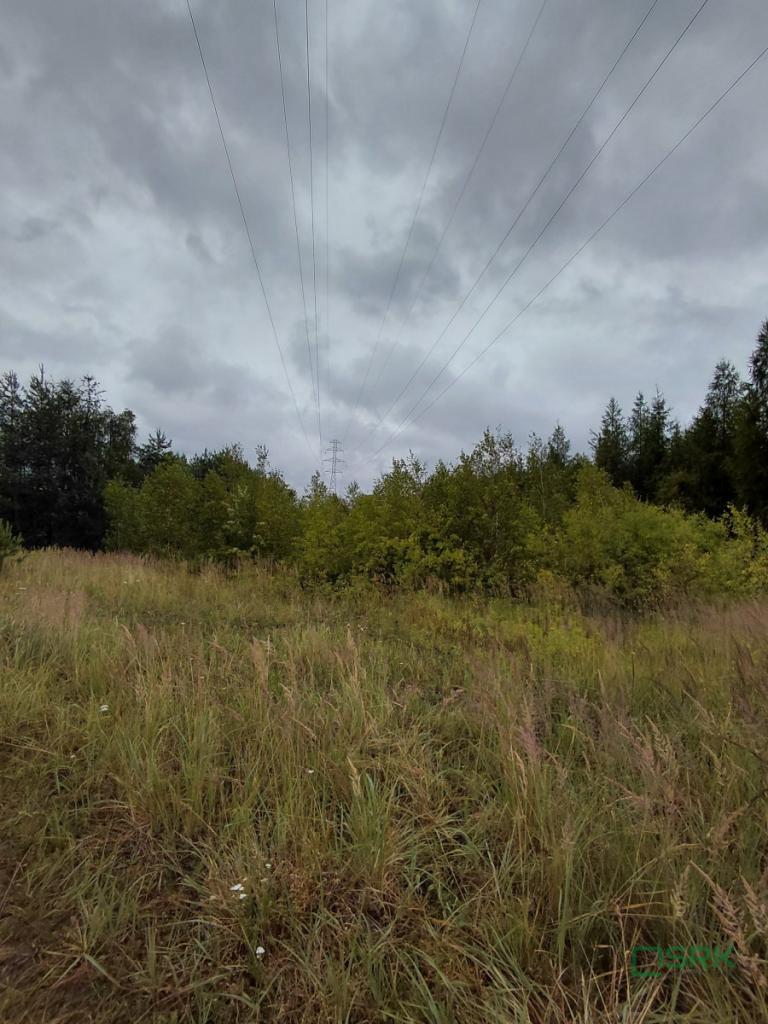 Działka inwestycyjna 1,56&nbsp;ha, Mysłowice, Aleja Spacerowa i  Zacisze - zdjęcie 5