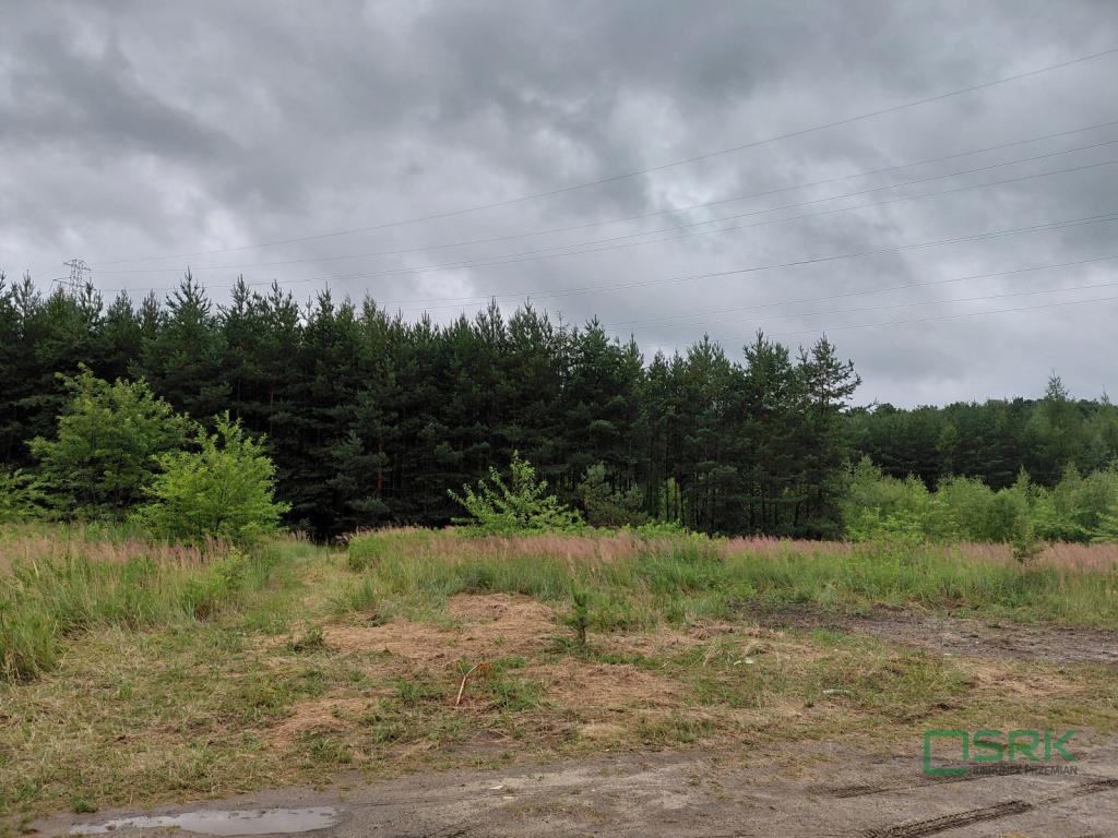 Działka inwestycyjna 1,56&nbsp;ha, Mysłowice, Aleja Spacerowa i  Zacisze - zdjęcie 2