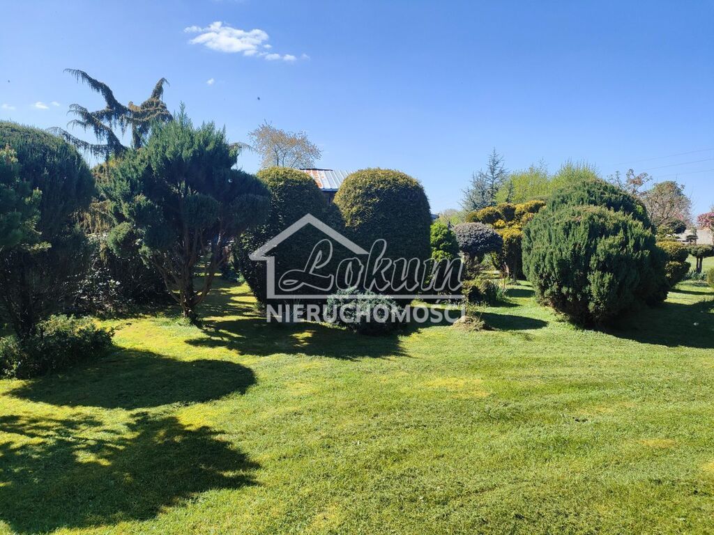 Działka budowlana 2434 m², Wiechowo - zdjęcie 5