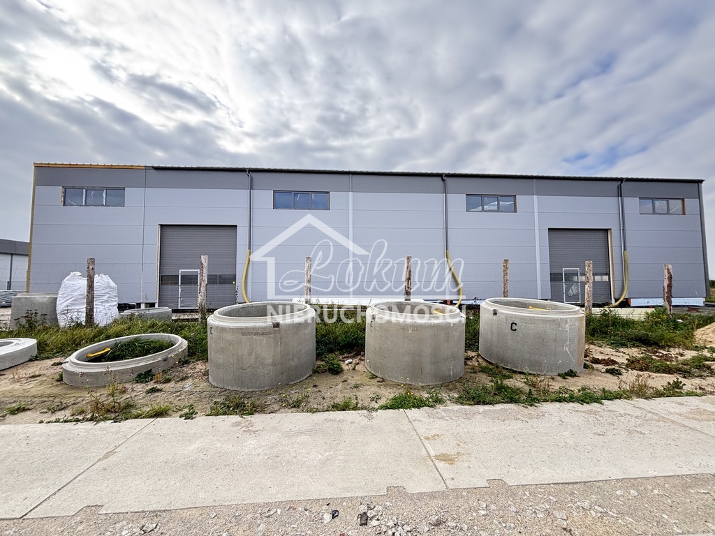 Magazyn do wynajęcia, 800 m², Skarbimierzyce - zdjęcie 3