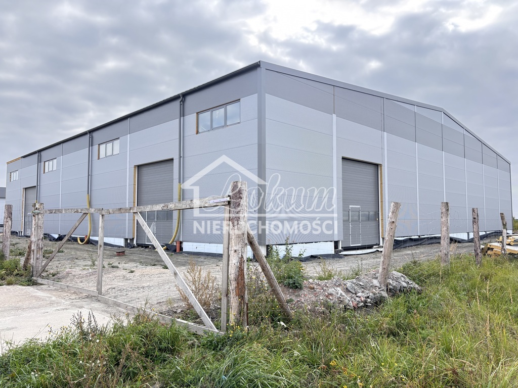 Magazyn do wynajęcia, 800 m², Skarbimierzyce - zdjęcie 2