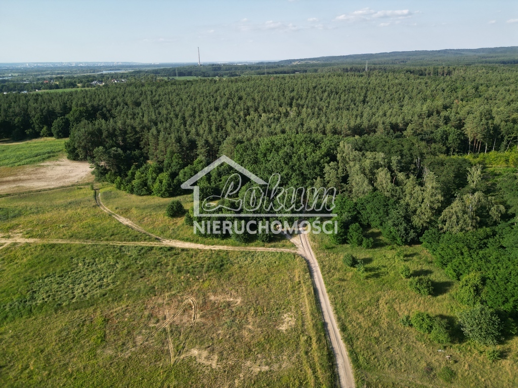 Działka budowlana 4053 m², Daleszewo - zdjęcie 2