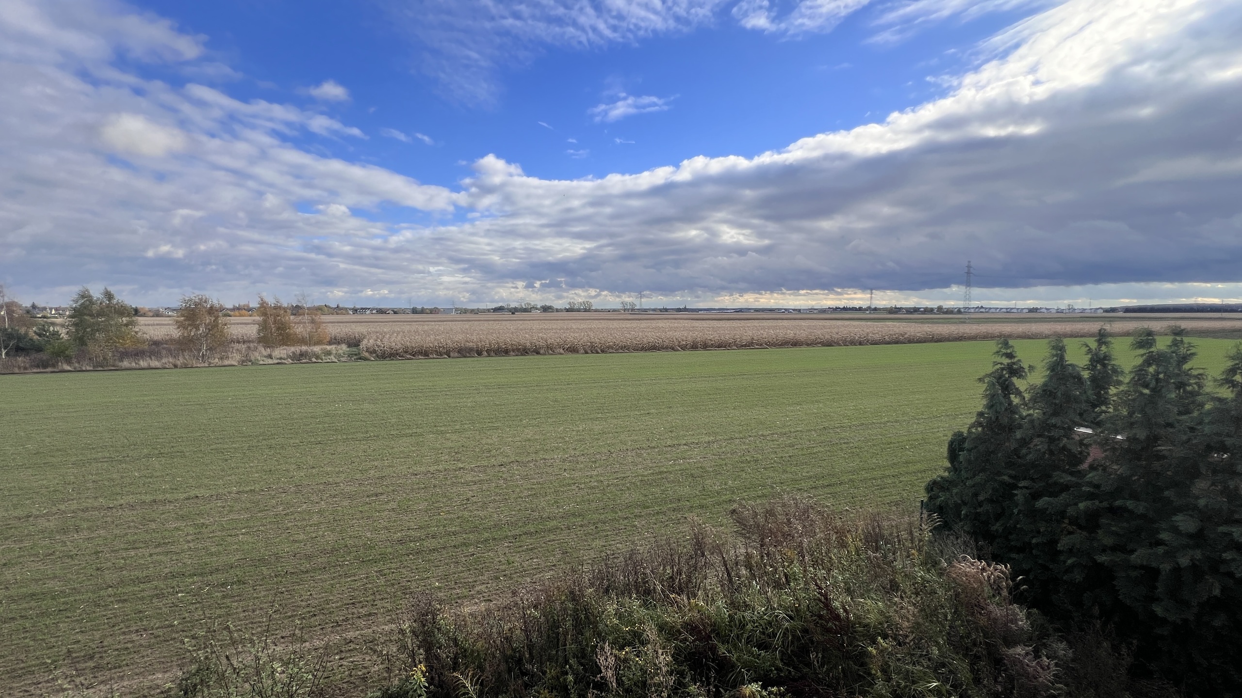 Dwa lokale w spokojnej części Lubonia - zdjęcie 10