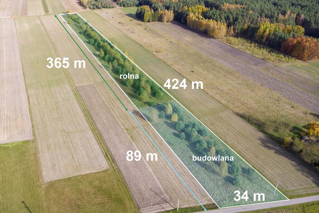 Działka rolna 1,44 ha, Skrzelczyce - zdjęcie 14