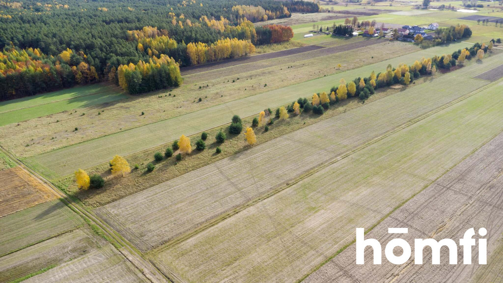 Działka rolna 1,44 ha, Skrzelczyce - zdjęcie 11