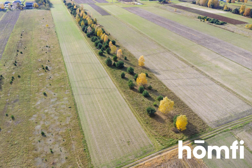 Działka rolna 1,44 ha, Skrzelczyce - zdjęcie 8