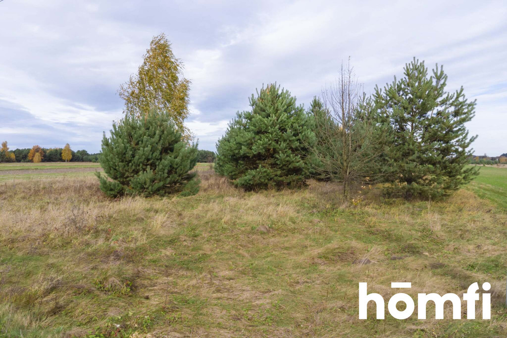 Działka rolna 1,44 ha, Skrzelczyce - zdjęcie 9