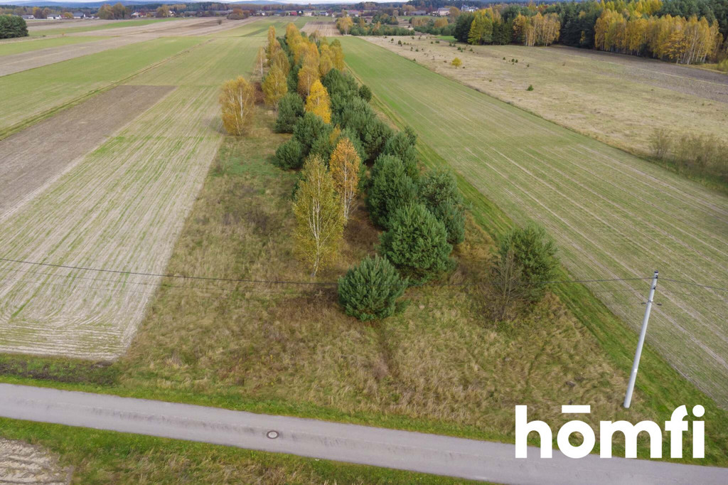 Działka rolna 1,44 ha, Skrzelczyce - zdjęcie 3