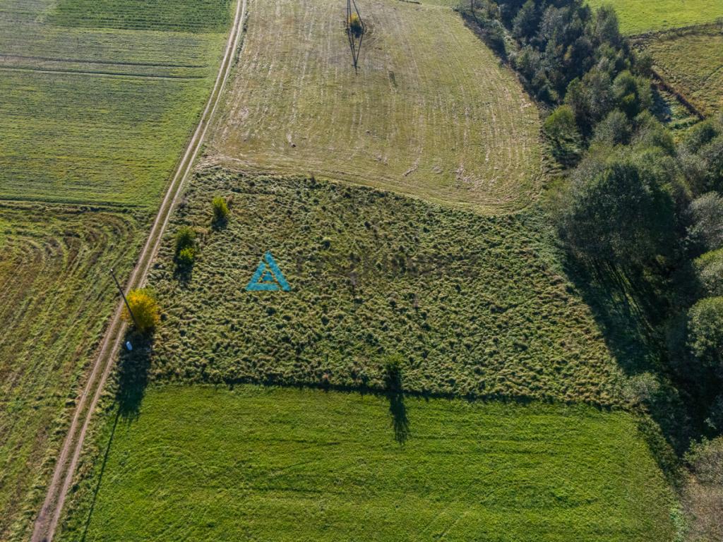Działka bez sąsiadów z MPZP i prądem - budowlana - zdjęcie 5