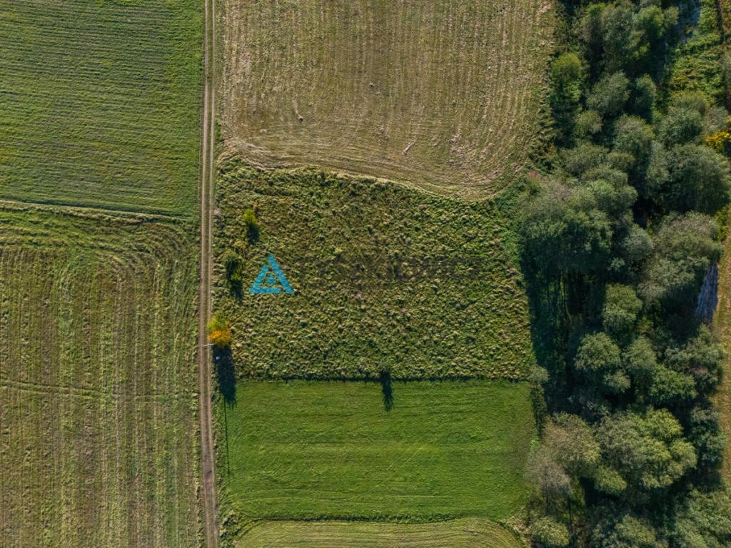 Działka bez sąsiadów z MPZP i prądem - budowlana - zdjęcie 3