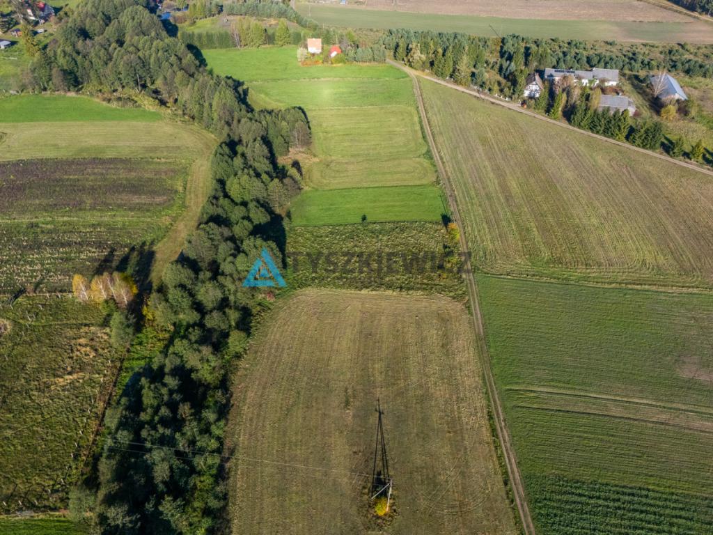 Działka bez sąsiadów z MPZP i prądem - budowlana - zdjęcie 6