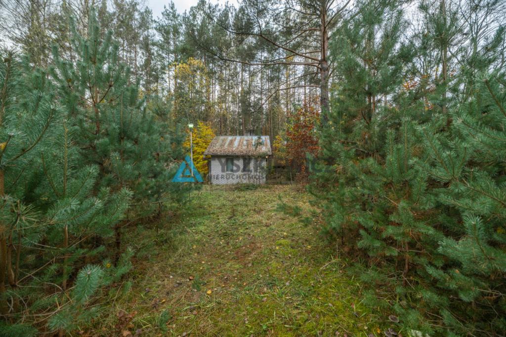 Działka budowlana przy jeziorze w Studzienicach - zdjęcie 26