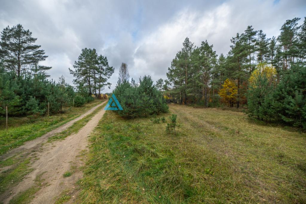 Wyjątkowa oferta - działka rekreacyjna - zdjęcie 13