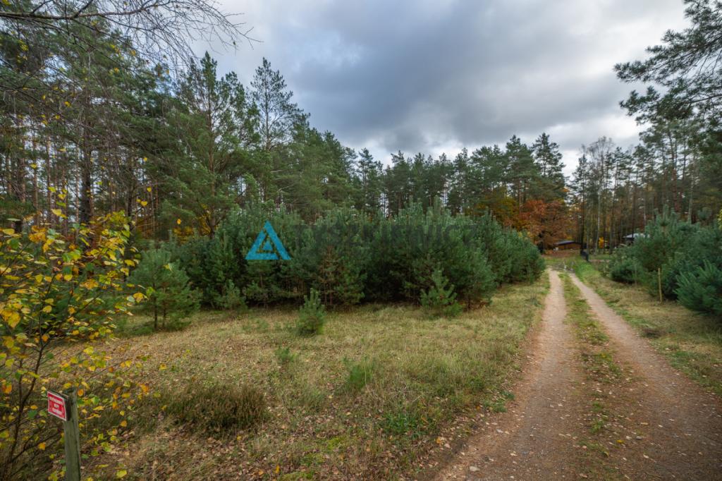 Wyjątkowa oferta - działka rekreacyjna - zdjęcie 4