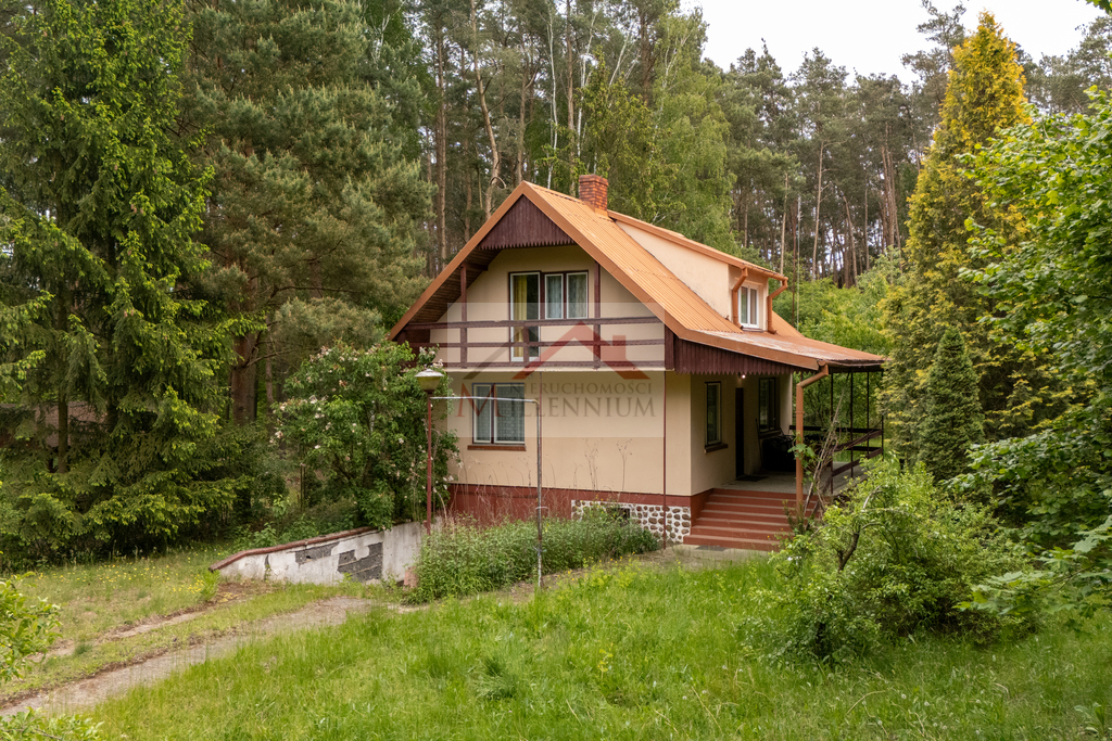 Działka rekreacyjna 1056&nbsp;m², Borkowo, Leśna - zdjęcie 1