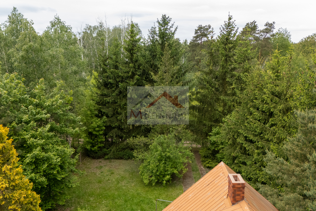 Działka rekreacyjna 1056&nbsp;m², Borkowo, Leśna - zdjęcie 7