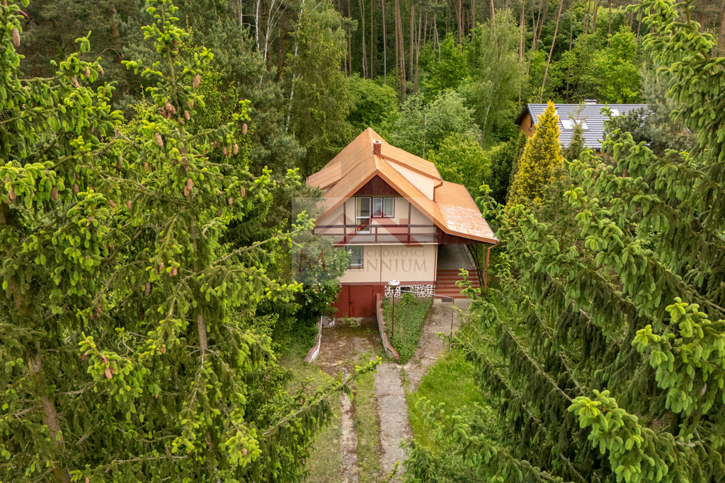 Działka rekreacyjna 1056&nbsp;m², Borkowo, Leśna - zdjęcie 2