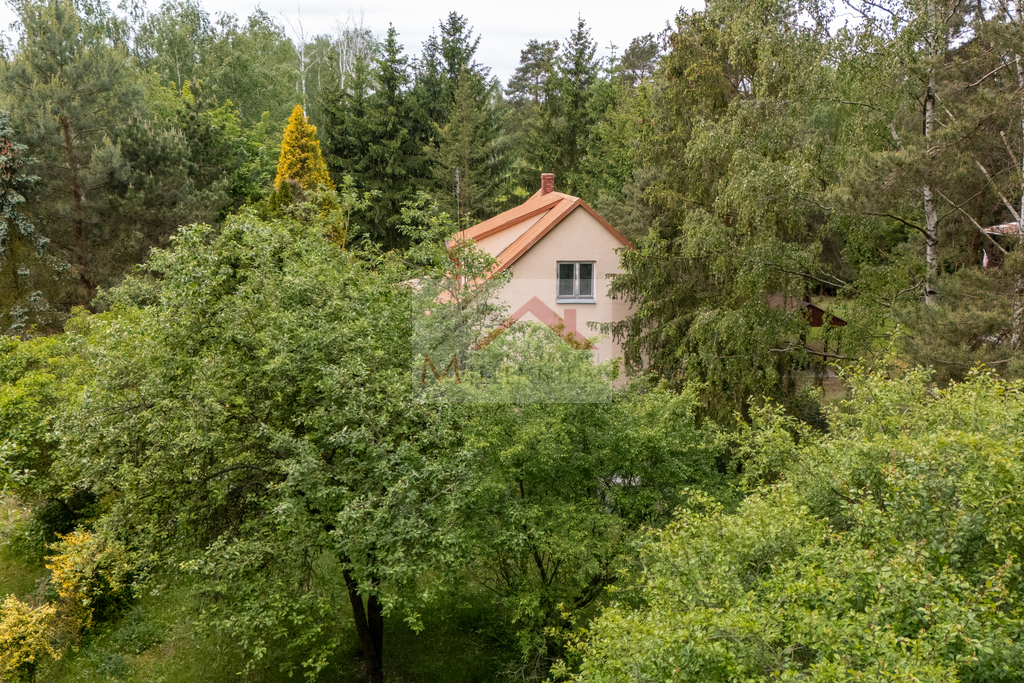 Działka rekreacyjna 1056&nbsp;m², Borkowo, Leśna - zdjęcie 6