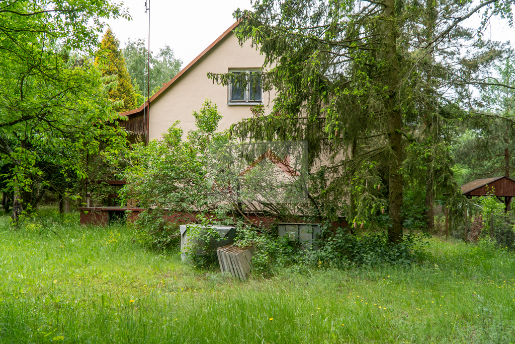 Działka rekreacyjna 1056&nbsp;m², Borkowo, Leśna - zdjęcie 15