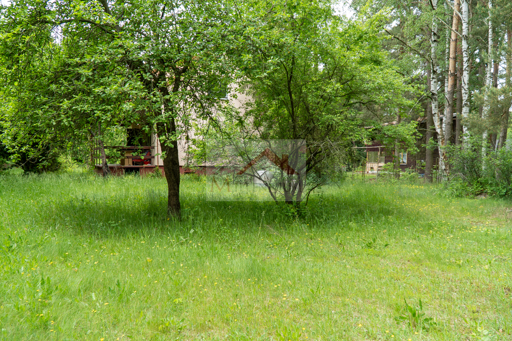 Działka rekreacyjna 1056&nbsp;m², Borkowo, Leśna - zdjęcie 14