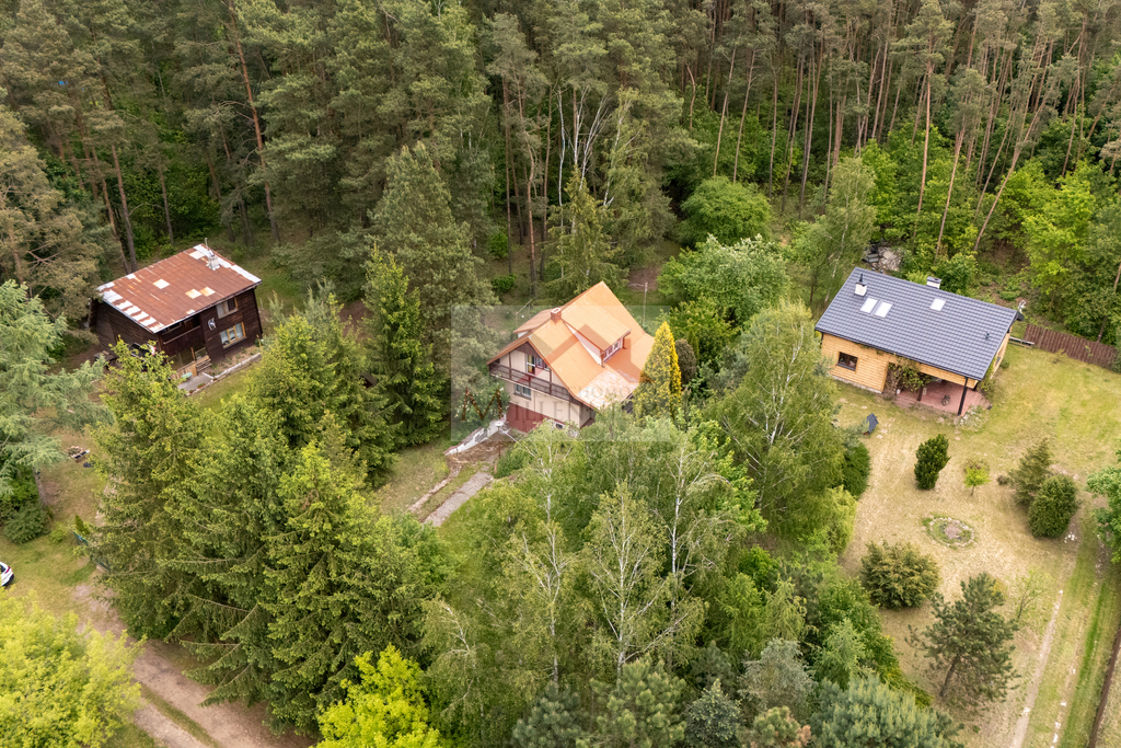 Działka rekreacyjna 1056&nbsp;m², Borkowo, Leśna - zdjęcie 5