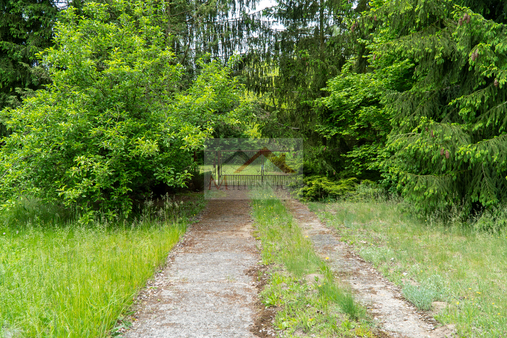 Działka rekreacyjna 1056&nbsp;m², Borkowo, Leśna - zdjęcie 10