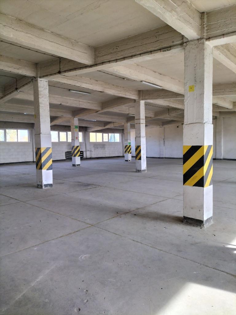 Magazyn do wynajęcia, 1168 m², Sosnowiec, Ptasia - zdjęcie 1