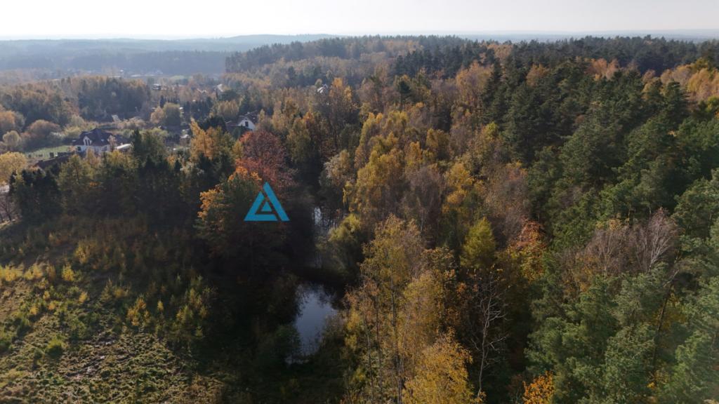 Działki graniczące z lasem Otomin - zdjęcie 6