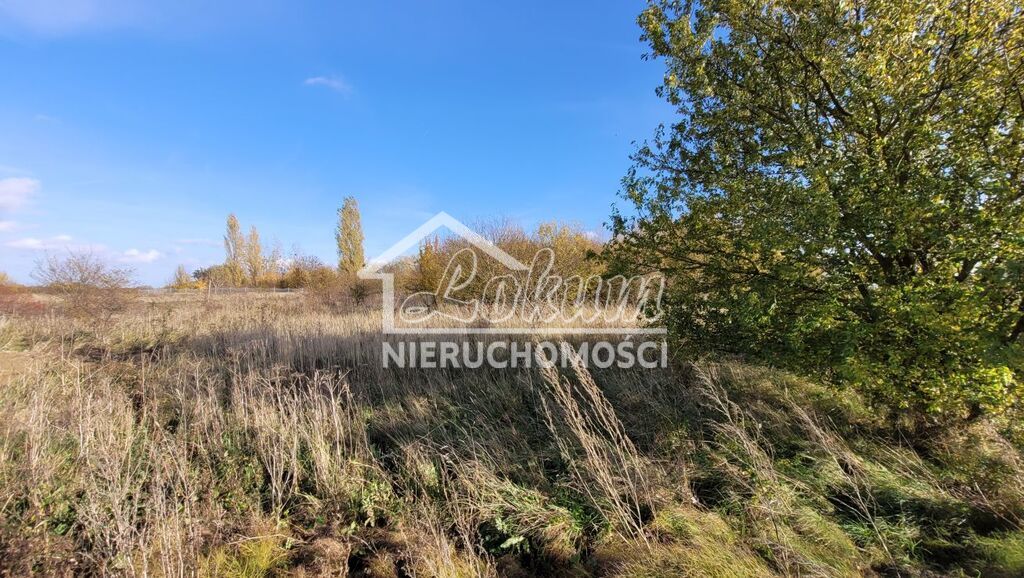 Działka budowlana 3000&nbsp;m², Bobolin - zdjęcie 6