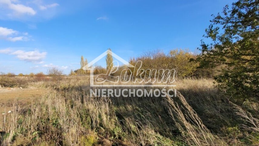 Działka budowlana 3000&nbsp;m², Bobolin - zdjęcie 1
