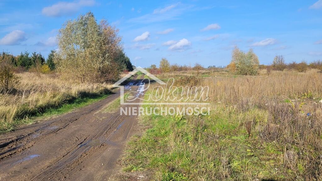 Działka budowlana 3000&nbsp;m², Bobolin - zdjęcie 4