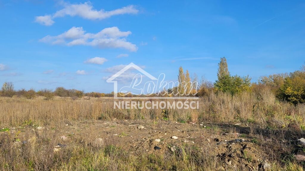 Działka budowlana 3000&nbsp;m², Bobolin - zdjęcie 3