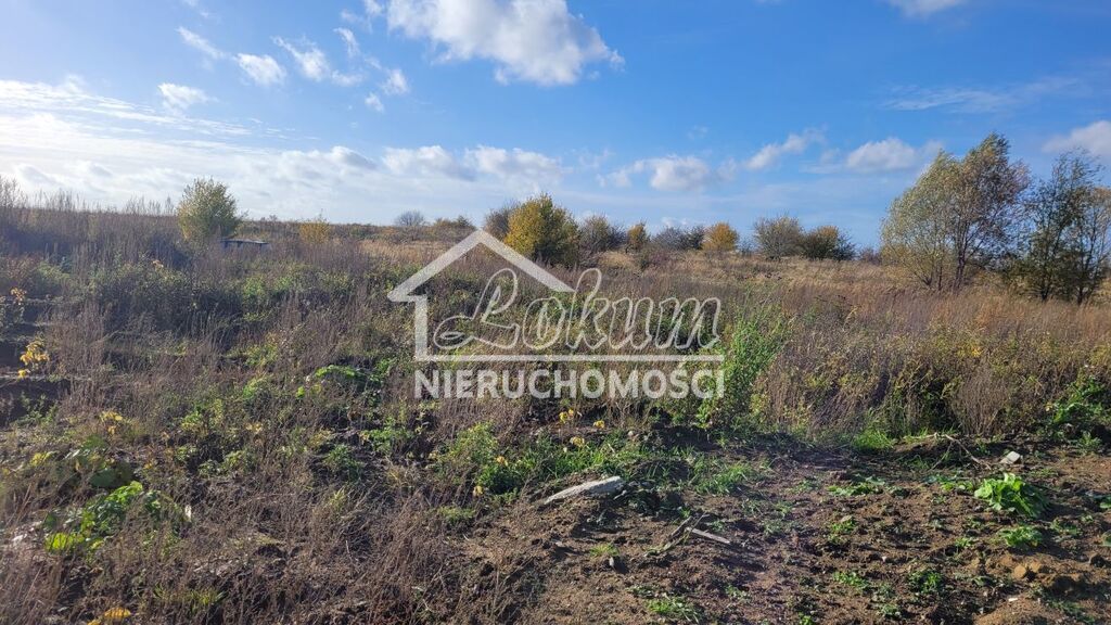 Działka budowlana 3000&nbsp;m², Bobolin - zdjęcie 5