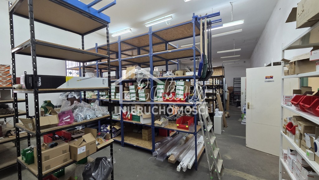 Lokal usługowy do wynajęcia, 500&nbsp;m², Szczecin - zdjęcie 3