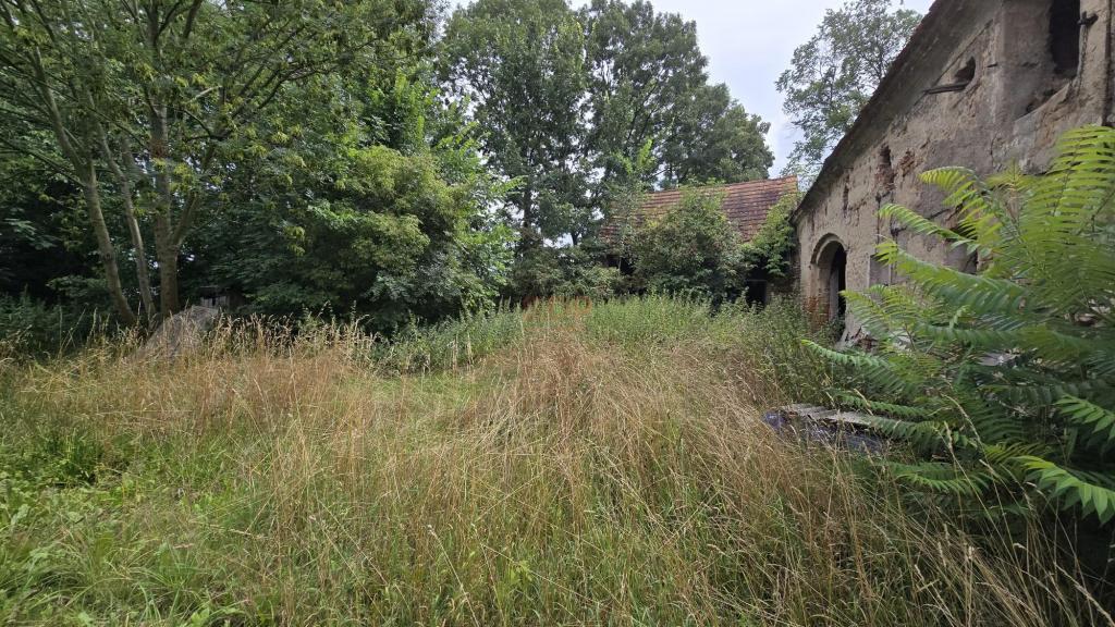 Działka gospodarstwo 1,74 ha, Bartoszowa - zdjęcie 4