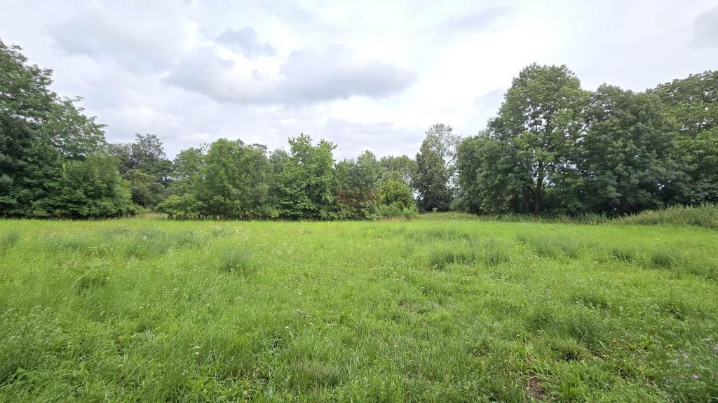 Działka gospodarstwo 1,74 ha, Bartoszowa - zdjęcie 2