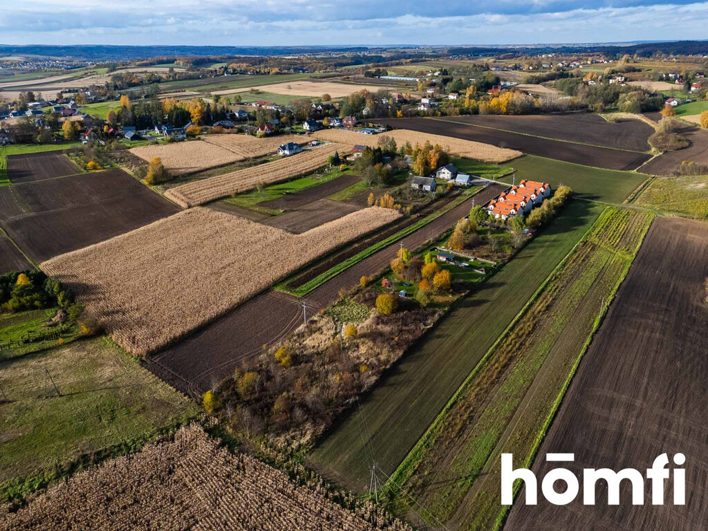 Działka gospodarstwo 5060 m², Więcławice Stare, św. Cecylii - zdjęcie 7