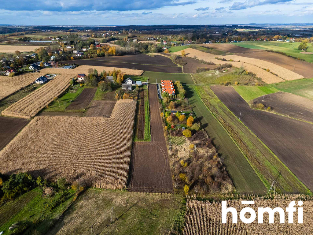 Działka gospodarstwo 5060 m², Więcławice Stare, św. Cecylii - zdjęcie 6