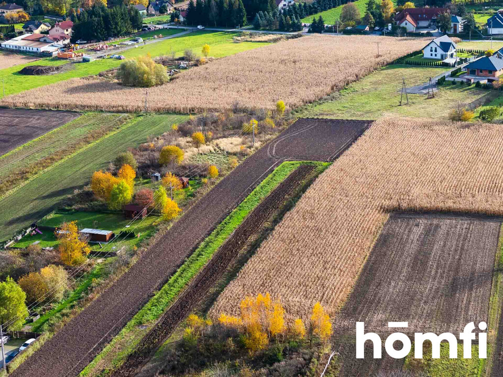 Działka gospodarstwo 5060 m², Więcławice Stare, św. Cecylii - zdjęcie 12