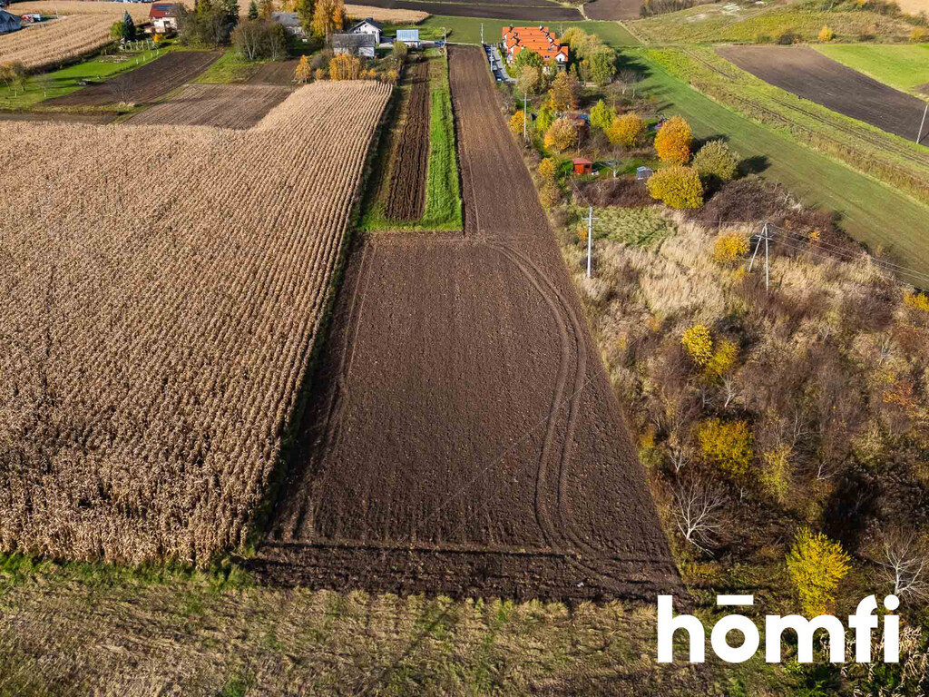 Działka gospodarstwo 5060 m², Więcławice Stare, św. Cecylii - zdjęcie 8