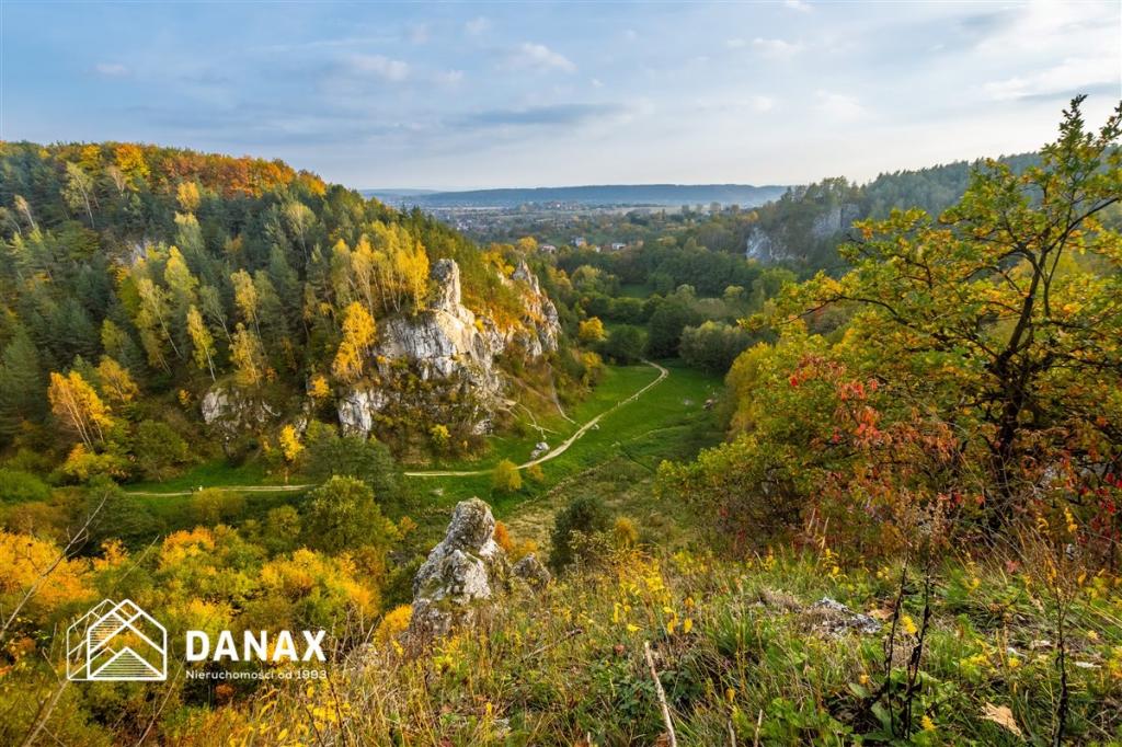 Działka budowlana 5200 m², Kobylany, Widokowa - zdjęcie 16
