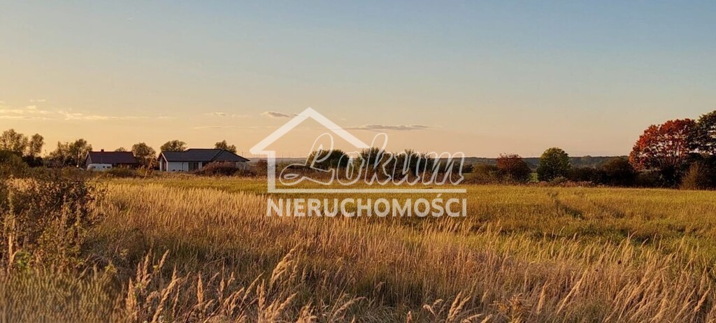 Działka rolna 1321&nbsp;m², Bobolin - zdjęcie 2